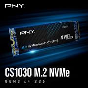 SSD PNY CS1030 Internal  500GB